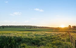6294 Mitchell Highway, Molong, NSW 2866