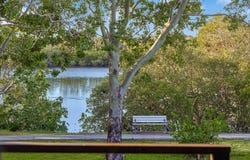 14 Water Street, Tweed Heads South, NSW 2486