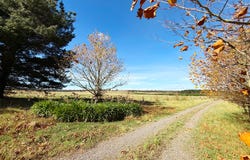 589 Jacqua Road, Windellama, NSW 2580