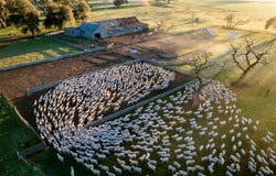 3688 Sturt Highway, Collingullie, NSW 2650