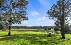 37 Hilltop Road, Tennyson, NSW 2754