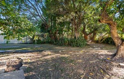 18 Grounds Street, Yeronga, Qld 4104