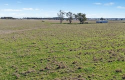 Lots 39 & 118 Of 2611 Henry Lawson Drive, Gulgong, NSW 2852