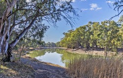 597 Tyntynder Central Road, Tyntynder, Vic 3586