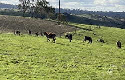 132, Moss Smith Road, Eden Valley, SA 5235