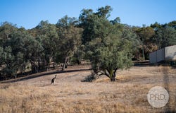 827-841 Centaur Road, Hamilton Valley, NSW 2641