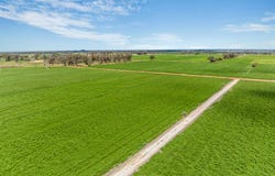 1070 & 1072 White Road, Girgarre, Vic 3624