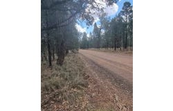 9 Everton Road, Gilgandra, NSW 2827