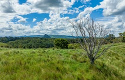 100 Schreibers Road, Cooran, Qld 4569
