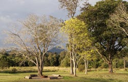 1024 Browns Creek Rd, Eerwah Vale, Qld 4562