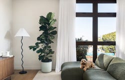 202/186A Victoria Road, Marrickville, NSW 2204
