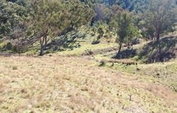 1022 Danglemah Road, Limbri, NSW 2352