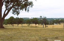 Lot 4  Reilly Drive, Elphinstone, Vic 3448