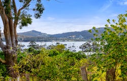 34 Free Street, White Beach, Tas 7184