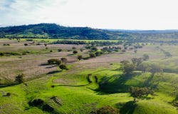 "AVOCA" Presses Road, Willow Tree, NSW 2339