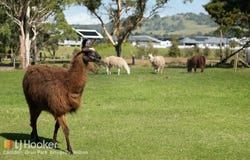 45 Inkerman Road, Balaclava, NSW 2575