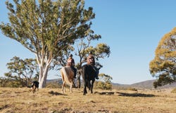 1035 Jerangle Road, Bredbo, NSW 2626