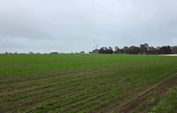 Lot 423, Gordon Street, Broomehill Village, WA 6318