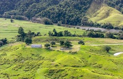 299 Upper Daintree Road, Upper Daintree, Daintree, Qld 4873