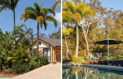 4 Finney Court, Tewantin, Qld 4565