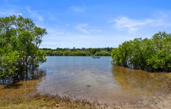 127 Overall Drive, Pottsville, NSW 2489
