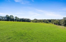 199 Berecry Road, Mangrove Mountain, NSW 2250