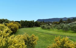 15 Patagorang Place, Buxton, Vic 3711