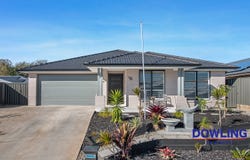16 Manna Street, Medowie, NSW 2318