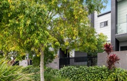 61 Harmony Boulevard, Palmview, Qld 4553