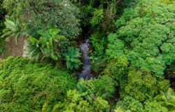 3 Balatti Access, Waugh Pocket, Qld 4871