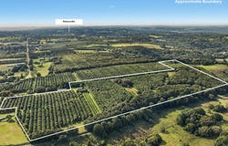 22 Ficus Lane, Dalwood, NSW 2477