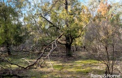 Lot 22 Princess Street, Riddells Creek, Vic 3431