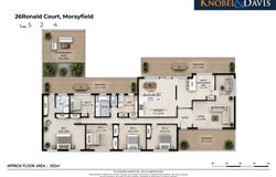 26 Ronald Court, Morayfield, Qld 4506