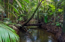 3 Balatti Access, Waugh Pocket, Qld 4871