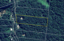103 Ronald Road, Forest Creek, Daintree, Qld 4873