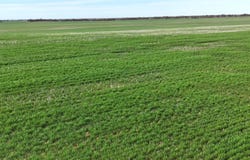 'Coopers' Mittyack/Chickapook Road, Gerahmin, Vic 3546