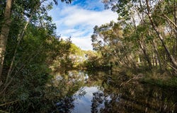 88 Frederick Street, Gledhow, WA 6330