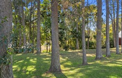 135 Yabba Road, Imbil, Qld 4570