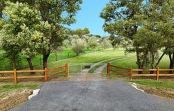 15 Patagorang Place, Buxton, Vic 3711