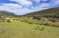 'Part Wattle Valley' Kangarooby Road, Gooloogong, NSW 2805