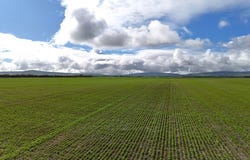 401 Mundoora-Wokurna Rd, Mundoora, SA 5555