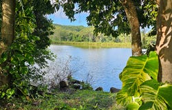 81 Shaws Lane, Tuckombil, NSW 2477