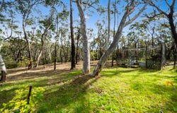 82 Clear View Parade, Hazelbrook, NSW 2779