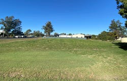 8 Wilson Street, Condamine, Qld 4416