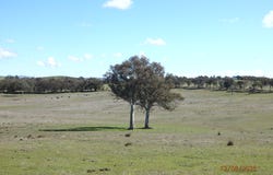 45 MOORBYS ROAD, Bowning, NSW 2582