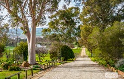 1055 Table Top Road, Table Top, NSW 2640