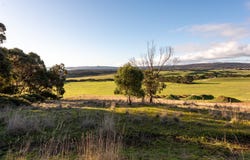 22 Port Davies Road, Emita, Tas 7255