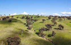 2047 Queens Pinch Road, Mudgee, NSW 2850