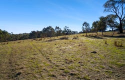 Lot 192 & 253 Yewrangara Street, Bigga, NSW 2583