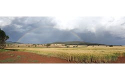 Kurrajong Valley, 236  Wild Lane, Parkes, NSW 2870